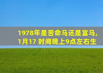 1978年是苦命马还是富马,1月17 时间晚上9点左右生